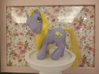 My Little Pony G3 DaisyJo Dortmund - Brackel Vorschau