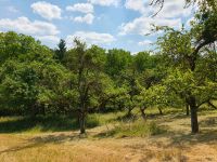 Obstbaumwiese als Weidefläche Baden-Württemberg - Weikersheim Vorschau