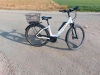 E-Bike Falter E 9.0 RT 28'' 2022 Damenrad 45cm RH Bayern - Augsburg Vorschau