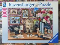 Puzzle 1000 Teile Ravensburger "Meine Kätzchen" Schleswig-Holstein - Lübeck Vorschau