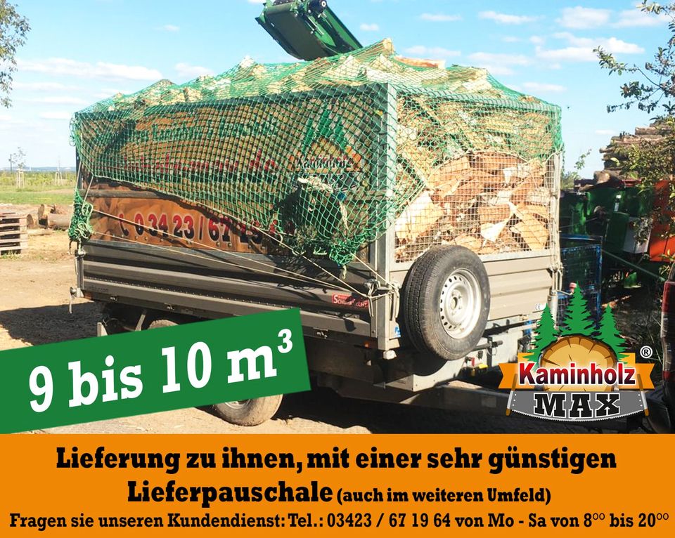 ab 4 m³ bis 35 m³ - 30 km um KEMBERG, Gräfenhainichen, Bad Schmiedeberg Kaminholz, Brennholz, Feuerholz, Holzvergaser, Kamin, Holz, Feuer, Brenn in Kemberg