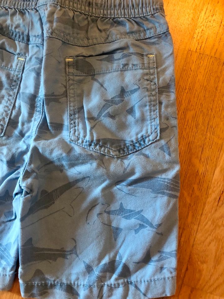 Kurze Hosen Shorts Mini Boden Oshkosh Haie Sommer Gr. 116 in Berlin