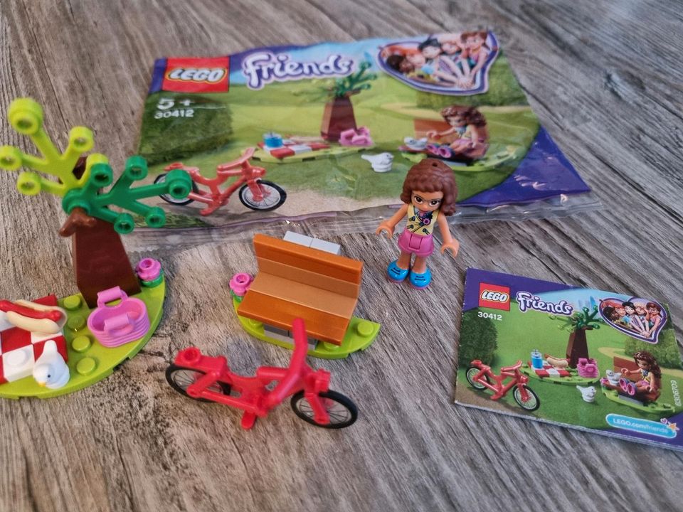 Lego Friends Picknick im Park Mädchen in Bad Honnef