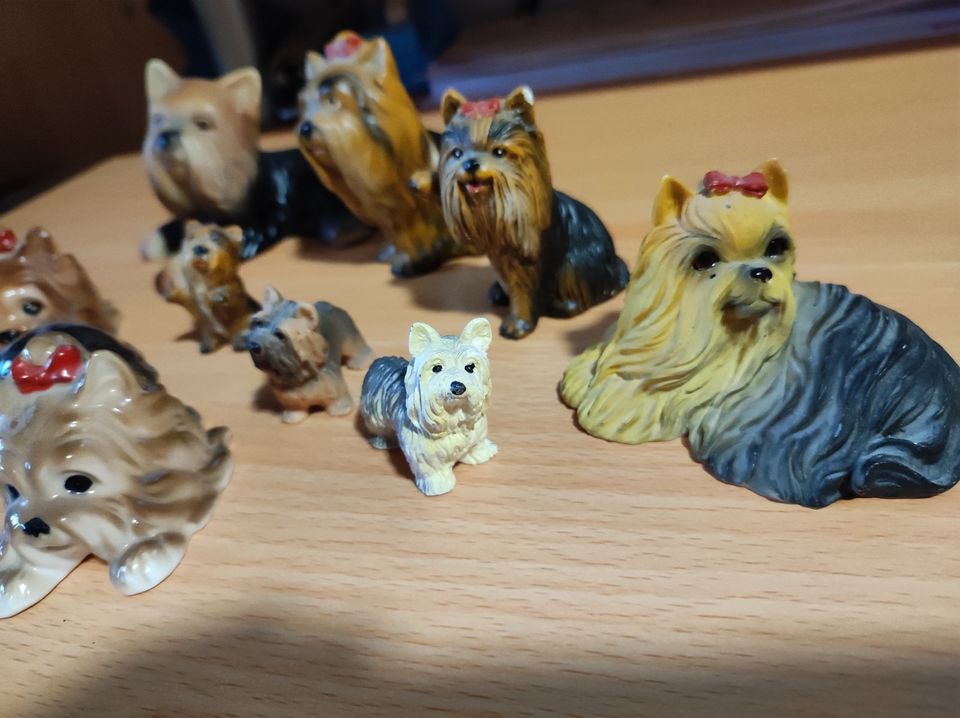 9 süße kleine Hunde Figuren (Yorkshire) in Stadthagen