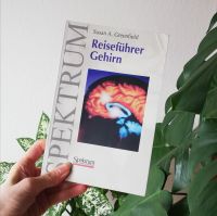 Reiseführer Gehirn Spektrum Greenfield spiritualität wissenschaft Hessen - Wetter (Hessen) Vorschau