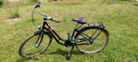 26 Damenrad zu Verkaufen Niedersachsen - Celle Vorschau