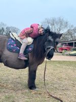 Reitunterricht Ponyreiten Ponyclub 4-7 Jahre Mecklenburg-Vorpommern - Greven Vorschau