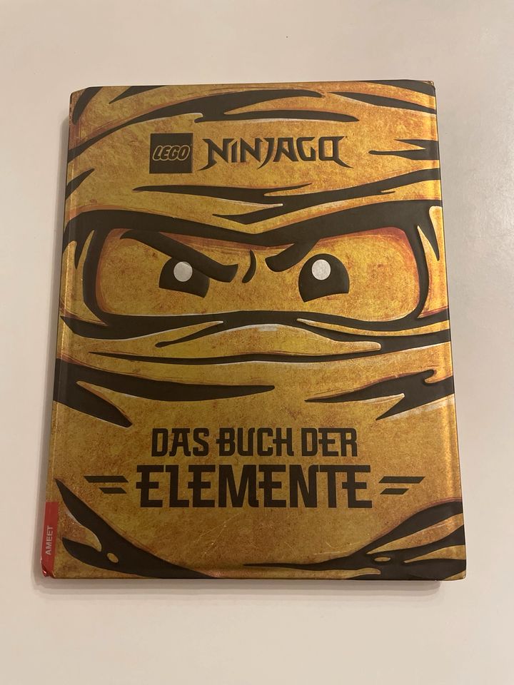 Kinderbuch Ninjago - Das Buch der Elemente in Ettlingen