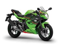 Kawasaki Ninja 125 (A1 & B196) 2024 *4 Jahre Garantie* Frankfurt am Main - Kalbach Vorschau