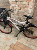 Mountainbike Dresden - Blasewitz Vorschau