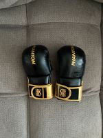 MMA Handschuhe Rostock - Evershagen Vorschau