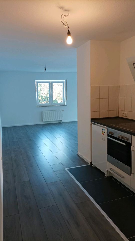 2 Zimmer Wohnung in Birlenbach (Rhein-Lahn-Kreis)