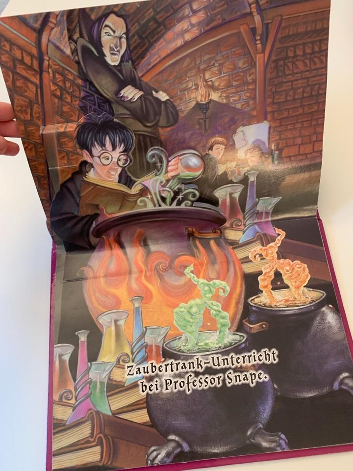 Harry Potter 2001 Pop up Buch vintage Pop-up Sammler Fanartikel in Hamburg