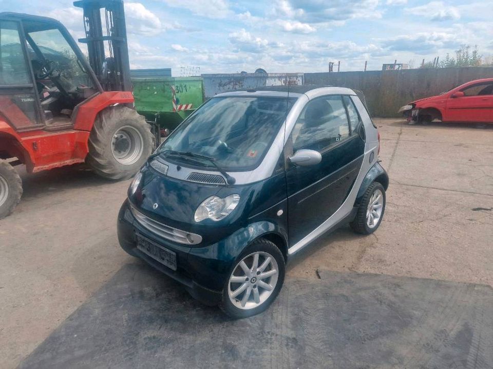 Smart ForTwo Cabrio Motorhaube,Scheinwerfer,Stoßstange, Kotflügel in Oranienbaum-Wörlitz