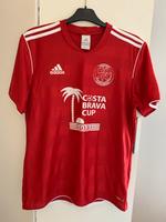 T-Shirt Kurzärmelige Sportshirt Trikot Gr. M Adidas Climalite Sachsen - Görlitz Vorschau