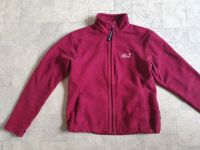 JACK WOLFSKIN NANUK FLEECEJACKE FLEECE JACKE Gr. S/36/38 Schwerin - Großer Dreesch Vorschau