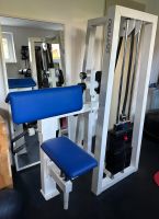 Gym 80 Bizepsmaschine Kr. Passau - Passau Vorschau