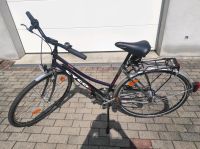 cyco Fahrrad Saxonia Germany 28 Zoll Baden-Württemberg - Sinsheim Vorschau