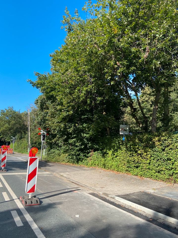 Gartenpflege Baumschnitt Rasen schneiden u vieles mehr in Dinslaken