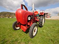 PORSCHE Diesel Standard Traktor Trecker Schlepper - mit MÄHWERK Thüringen - Bad Berka Vorschau