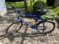 Giant Fahrrad mit LX Schaltung Thüringen - Eisfeld Vorschau