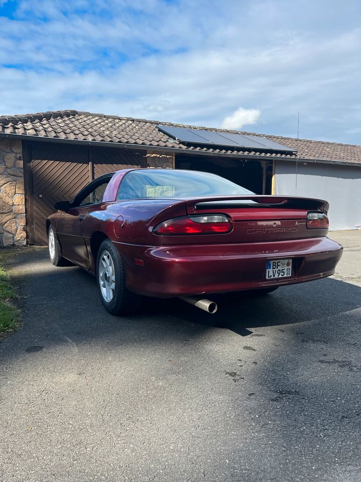 Chevrolet Camaro 1995, TÜV neu, US-Modell in Emsdetten