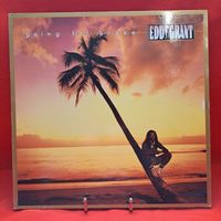 Eddy Grant *LP*Schallplatte*Vinyl* U008 Baden-Württemberg - Renchen Vorschau