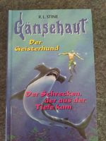 Buch von R. L. Stine zu verschenken Schleswig-Holstein - Wattenbek Vorschau