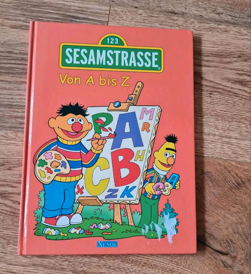 Kinderbücher: Leselöwen Duden u. a. 1.+ 2. Lesestufe in Vlotho