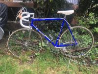 Rennrad für L'Eroica CILO SWISS TOPP RH 56 Shimano 600 Baden-Württemberg - Gottenheim Vorschau