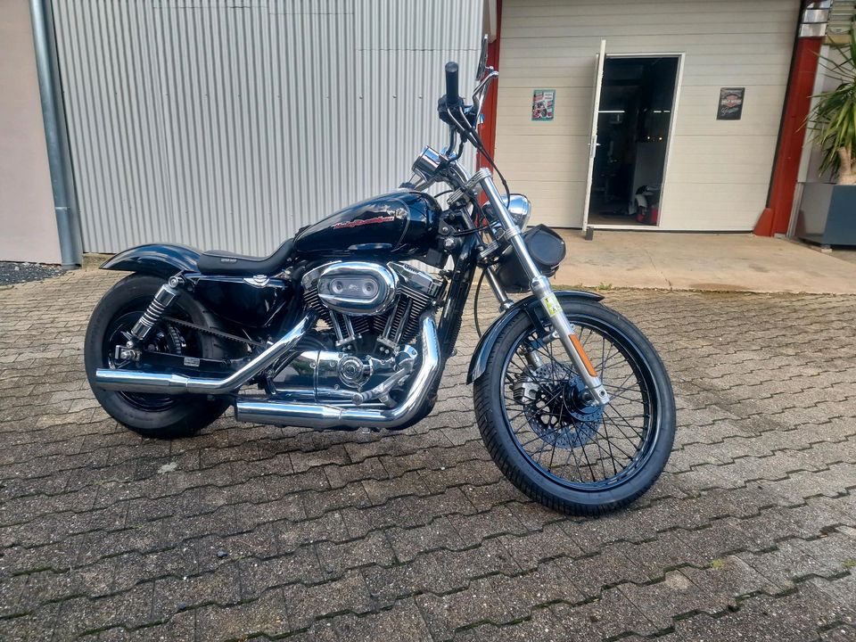 Harley Davidson Sportster 1200 Breitreifen Custombike in Waldenburg