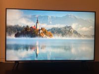 LG 55 Zoll 4K UHD Fernseher OVP Berlin - Biesdorf Vorschau