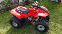 Honda TRX90 Quad ( ATC70 TRX70 Sportrax Fourtrax Monkey Z50 Dax ) Hessen - Rüsselsheim Vorschau