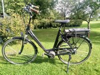 E Bike Batavus Bolero Niedersachsen - Bad Laer Vorschau