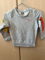 Sweatshirt Pullover Sesamstrasse Puma 110 Sachsen - Diera-Zehren Vorschau