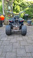 Quad 50ccm Motortek Raccoon Dresden - Mobschatz Vorschau