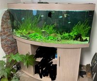 Juwel Aquarium 450l Niedersachsen - Neustadt am Rübenberge Vorschau