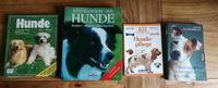 Hunde Bücher Paket 4-teilig Ratgeber, Sachbücher Thüringen - Uder Vorschau