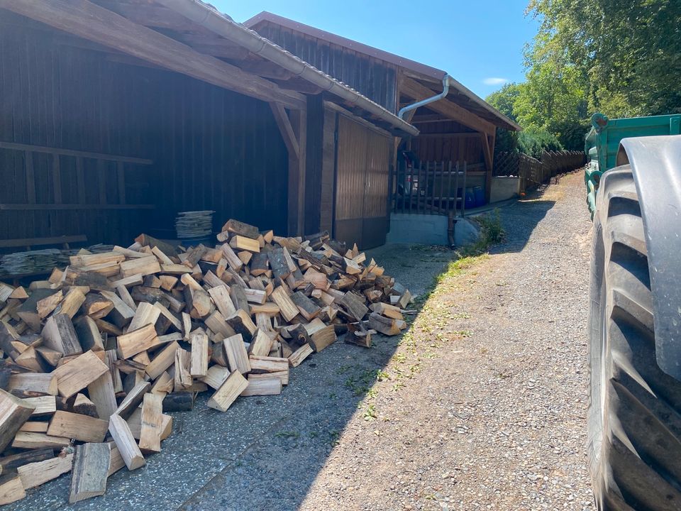 Brennholz Buche Birke in Riedenberg