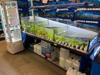Zu verschenken Aquarium, Pflanzenanlage, Beleuchtung Filter Nordrhein-Westfalen - Gütersloh Vorschau