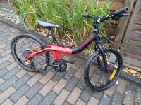 ❎️ 20 Zoll Fahrrad Orbea grow2 / Mitwachsendes Fahrrad ❎️ Baden-Württemberg - Billigheim Vorschau