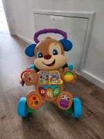 Lauflernwagen Fisher Price Köln - Porz Vorschau