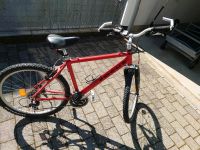 Focus Damenfahrrad 26" Fahrrad Baden-Württemberg - Albstadt Vorschau