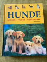 Hunde,    sehr ausführliches Buch, gebunden Horn-Lehe - Lehesterdeich Vorschau