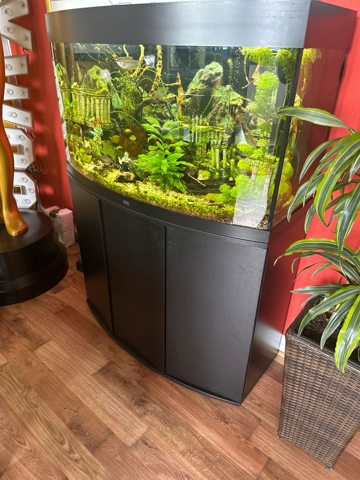 Juwel Aquarium 180 L mit Zubehör in Berlin