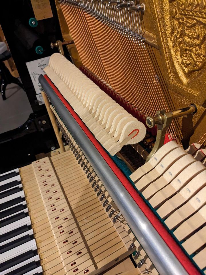 Klavier von Seiler - das beste was Seiler zu bieten hat in Sinsheim
