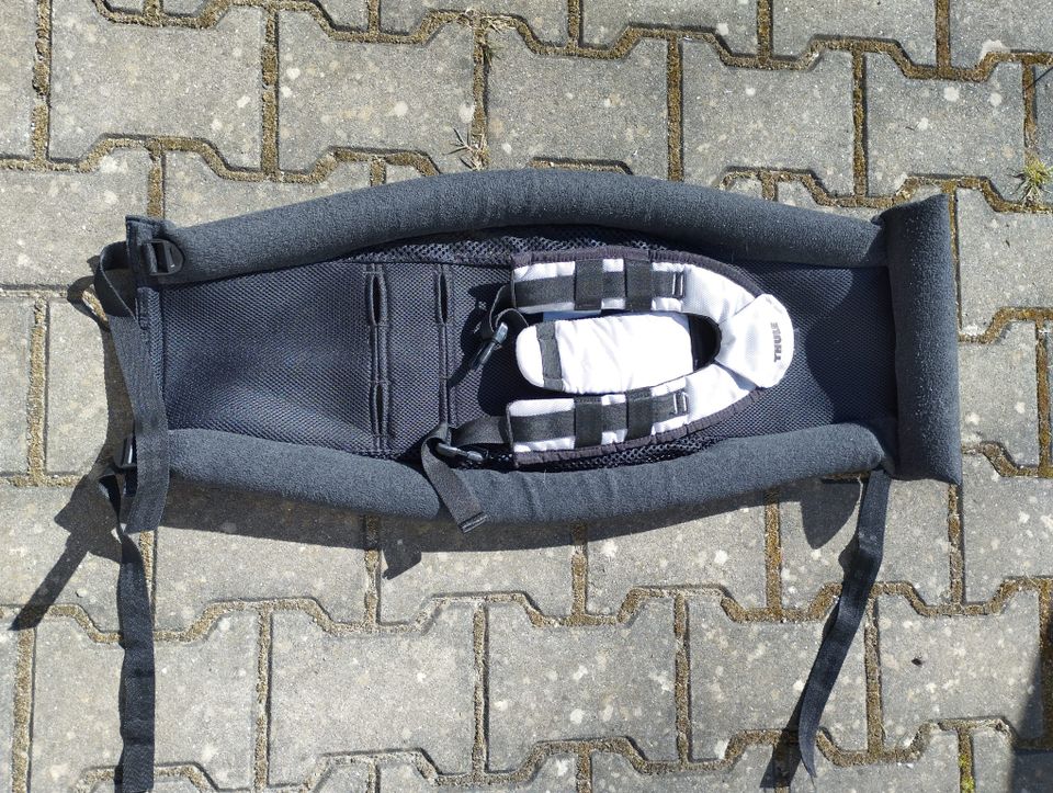 Thule Chariot CX1 Kinderwagen mit Zubehör in Gersdorf