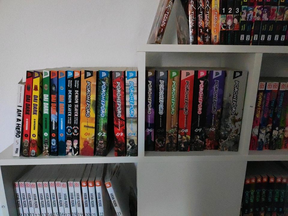 Manga Sammlung in Brandenburg an der Havel