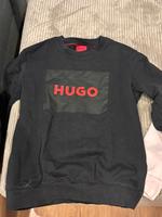 Hugo Pulli Niedersachsen - Salzgitter Vorschau