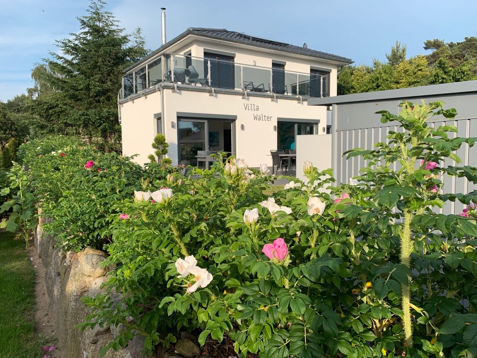 Ferienhaus Ferienwohnung Haus Insel Usedom Wasserblick Ostsee in Dessau-Roßlau